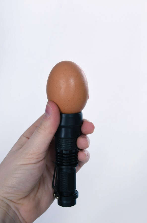 KERBL LED-Schierlampe